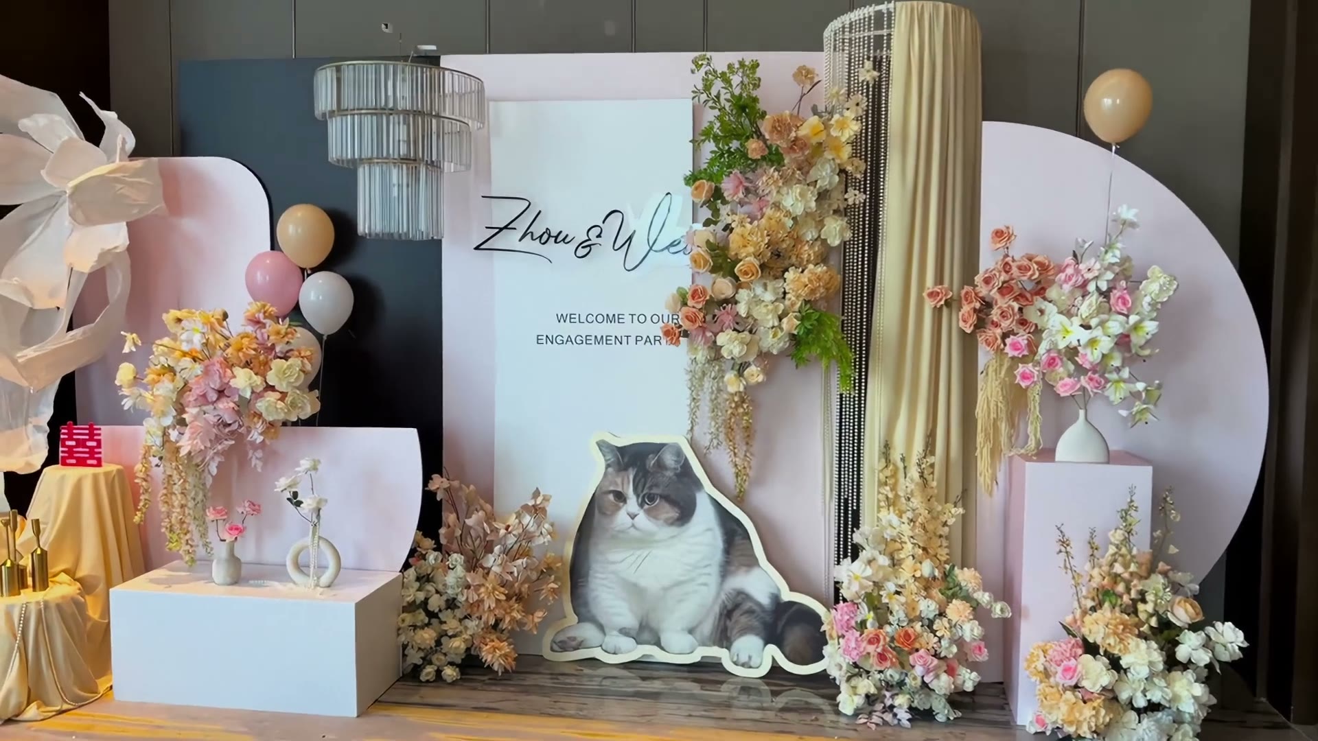 粉白色系猫咪订婚宴
