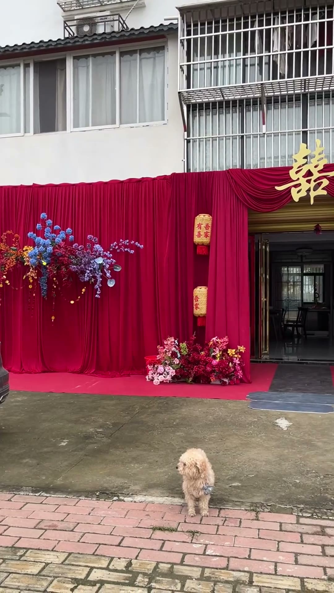 红色出嫁庭院喜庆布置