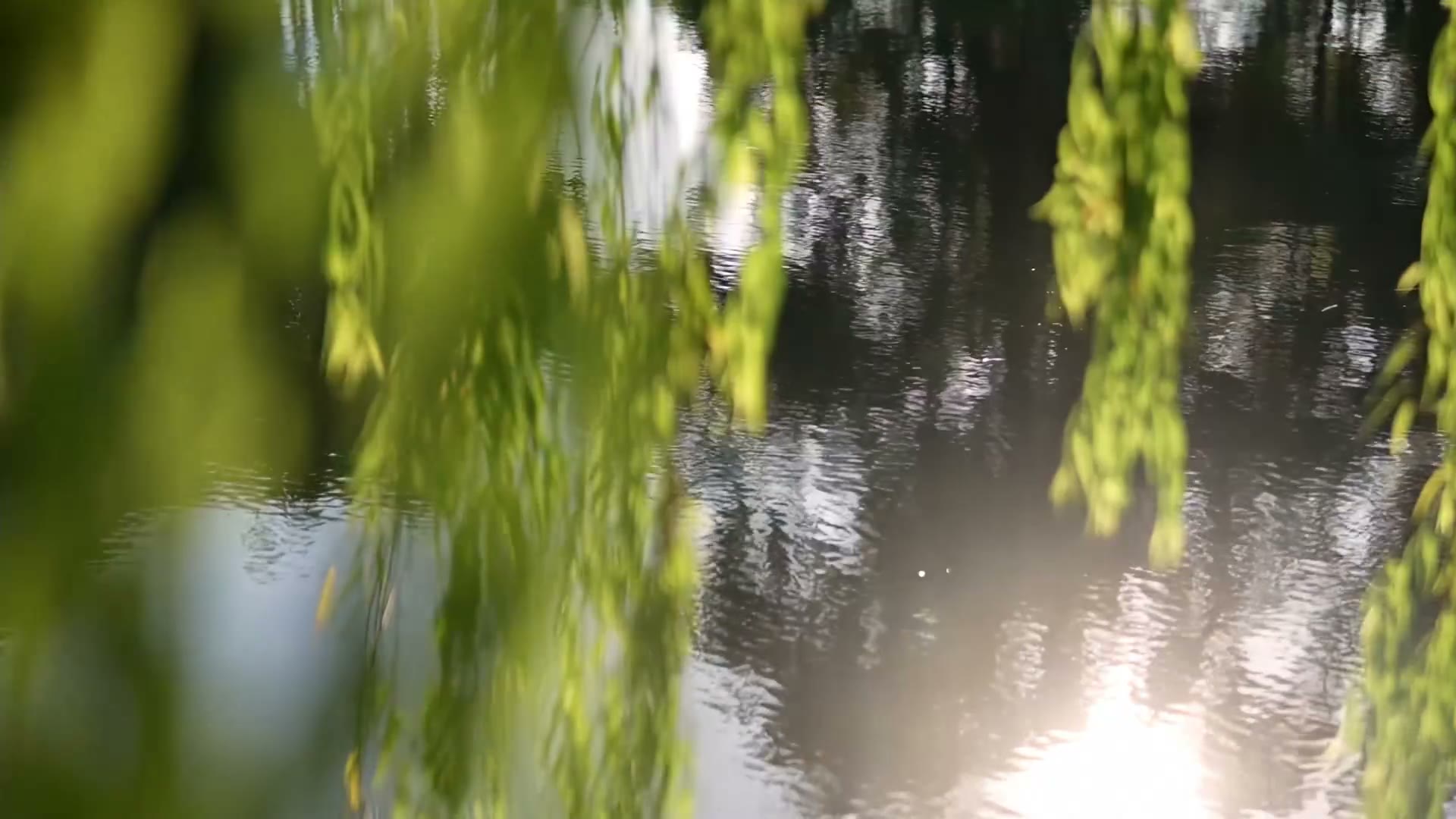唯美粉色江南风寿宴