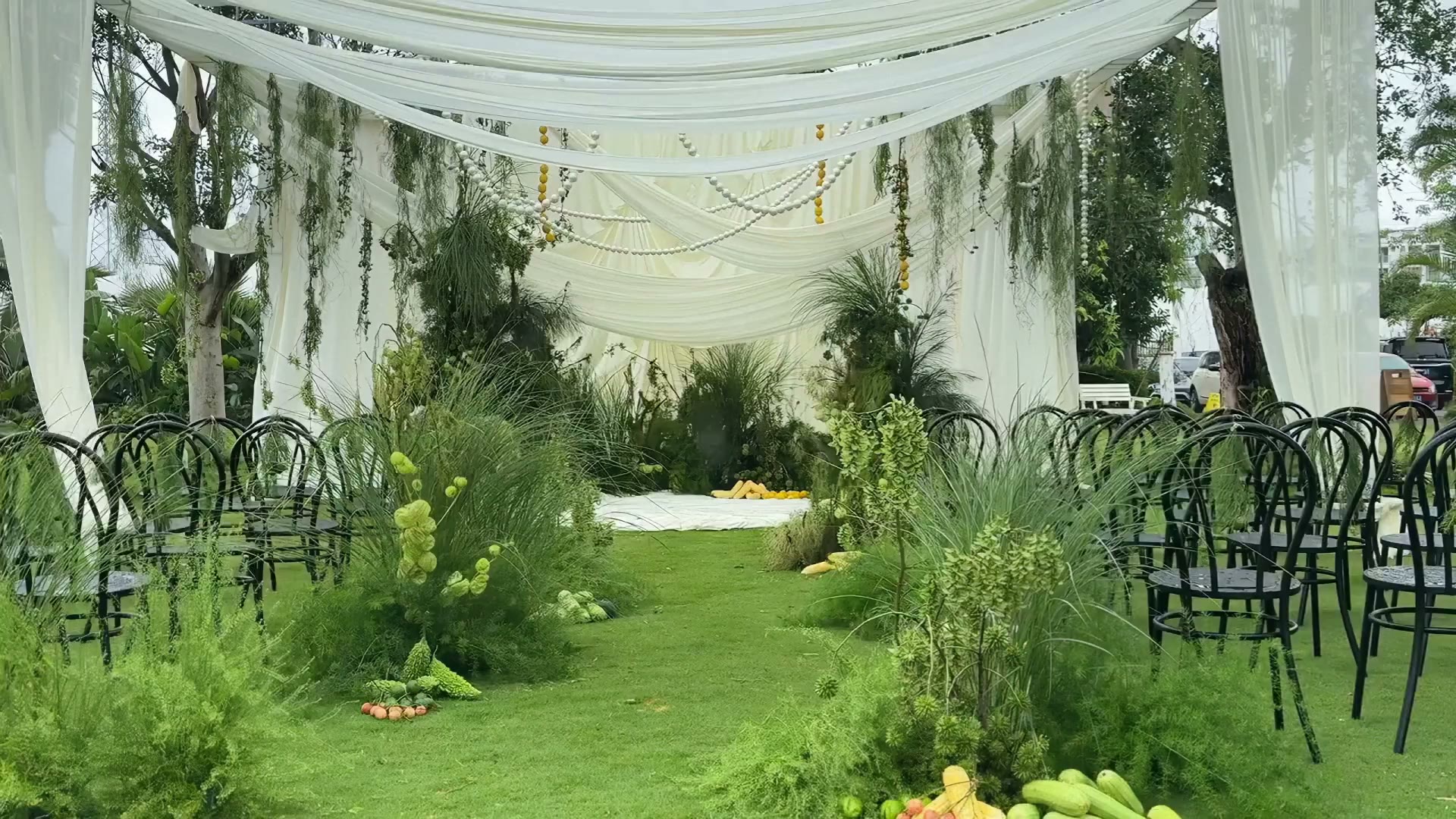 香槟绿韩式布幔野生自然风婚礼